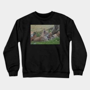 Lynx Crewneck Sweatshirt